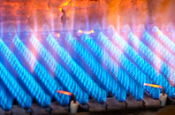 Longdown gas fired boilers